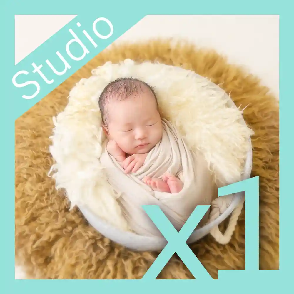 ライト・データプラン