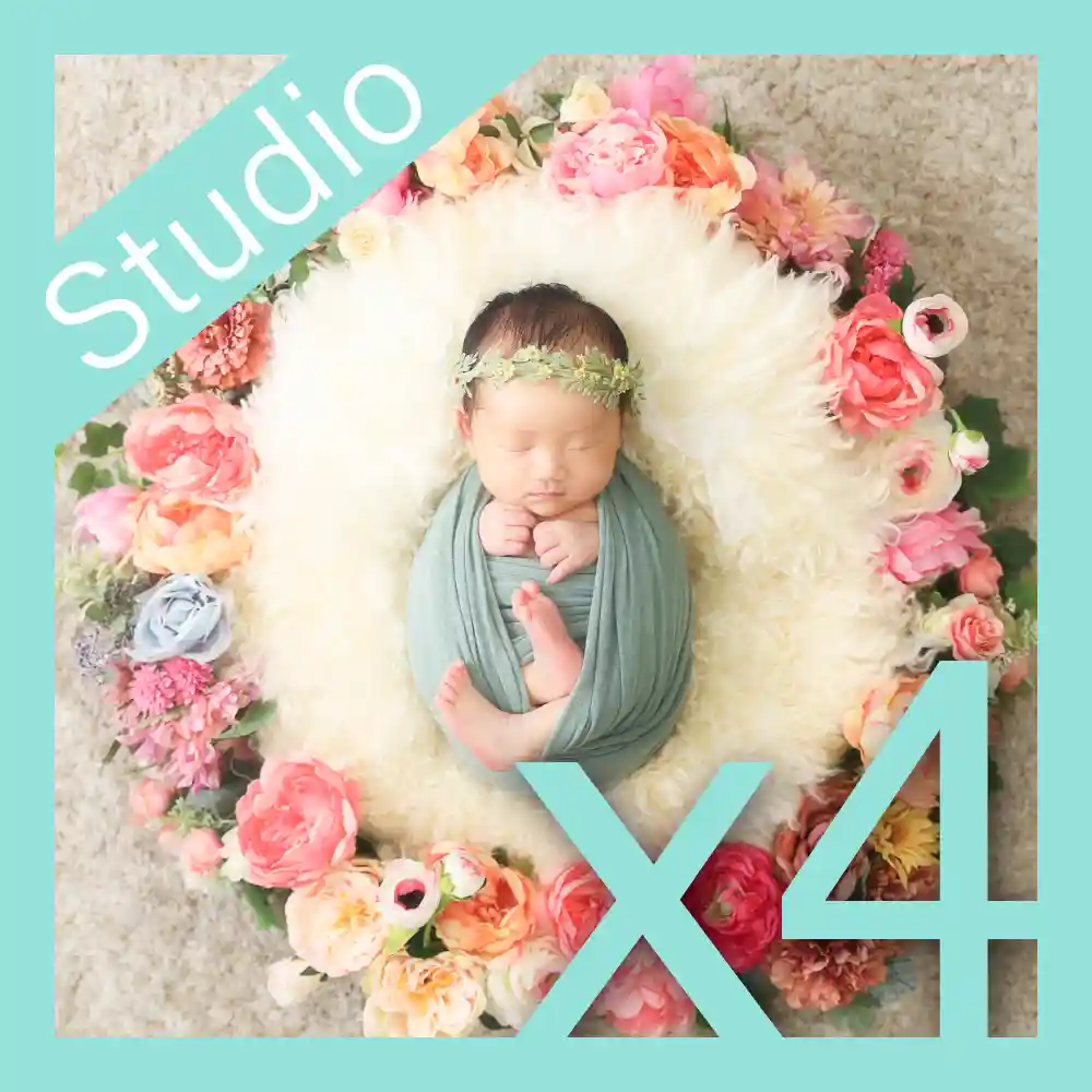 スタンダード・アルバムプラン