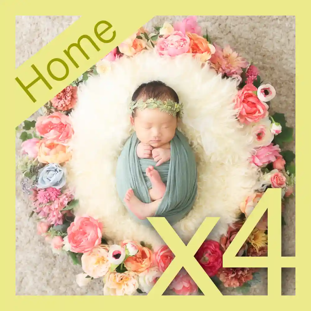 スタンダード・アルバムプラン