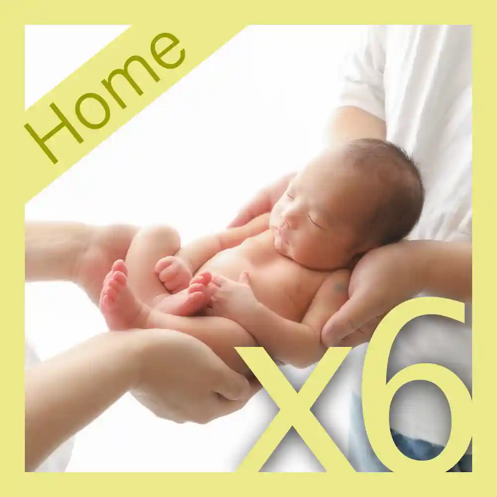 プレミアム・アートプラン